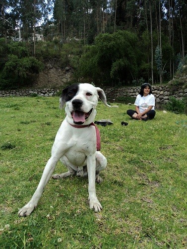 De paseo con mi Lucky